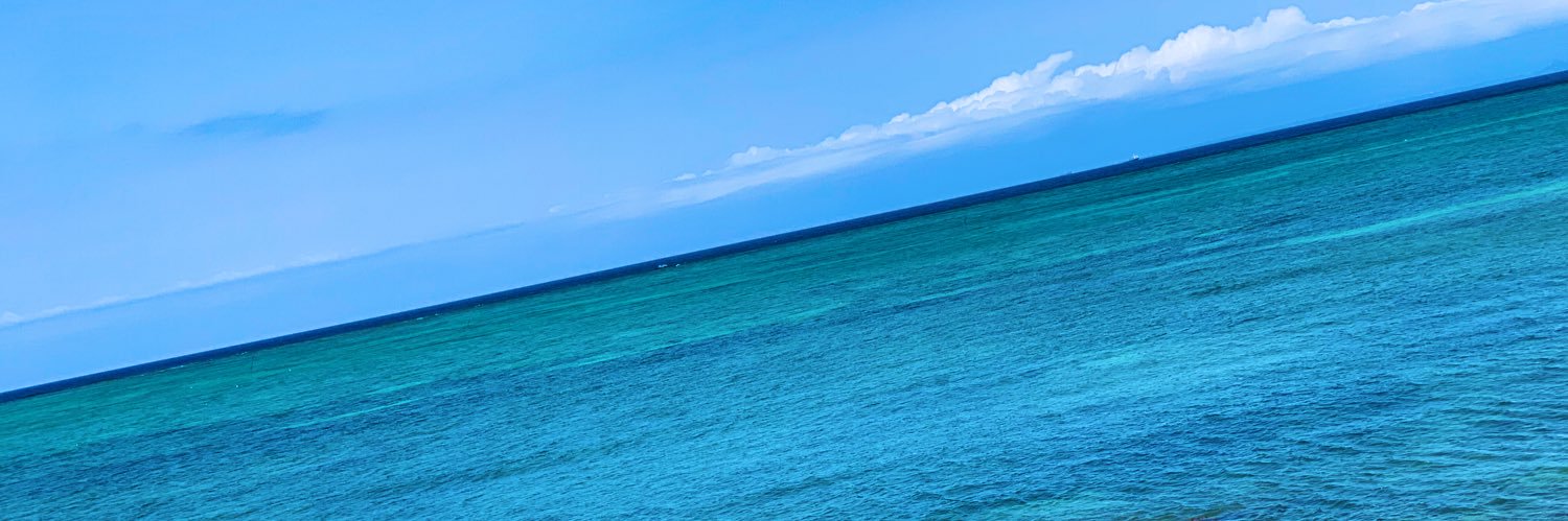 iimmocchann's profile banner image