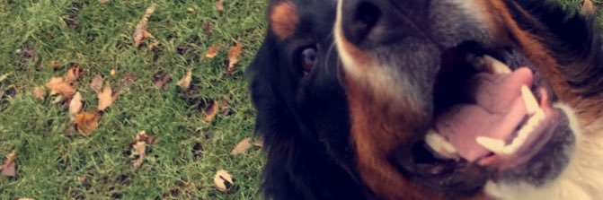 lykins_2's profile banner image