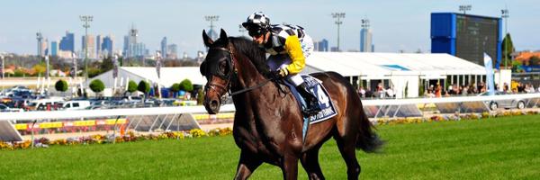 kingsc59 Profile Banner