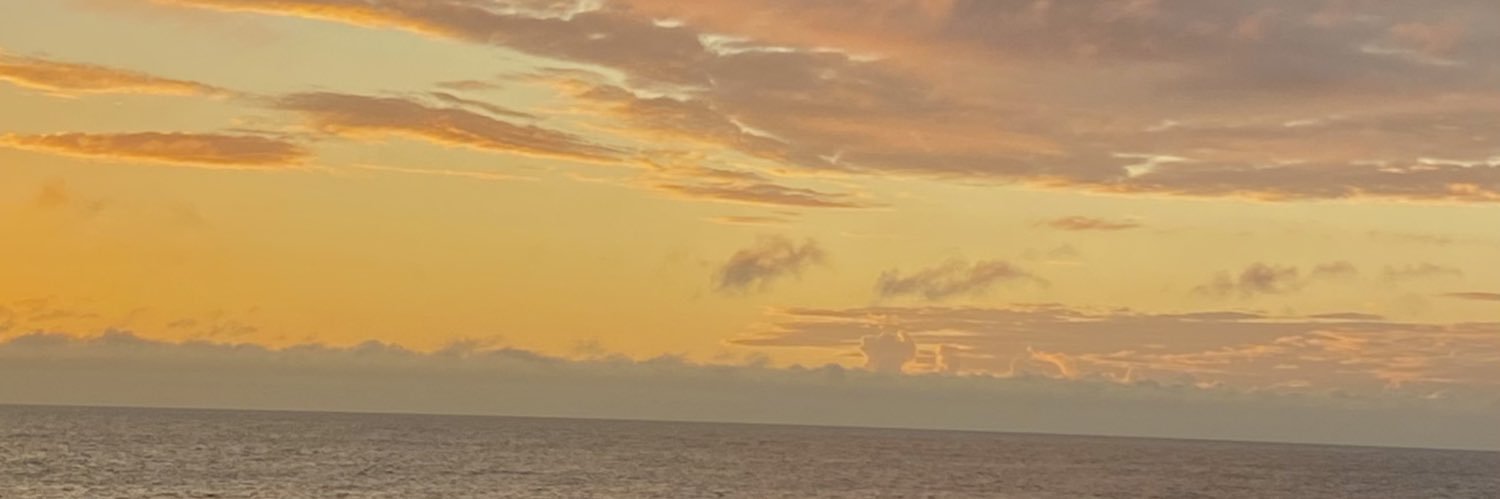 vidalsofi1's profile banner image