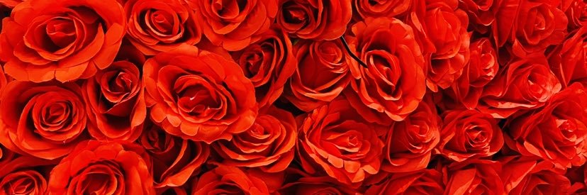 coladaonenonly's profile banner image