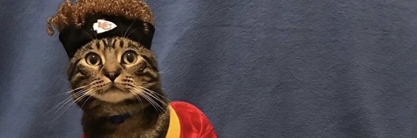 c_nolting's profile banner image