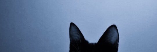 Vale_herrera27's profile banner image