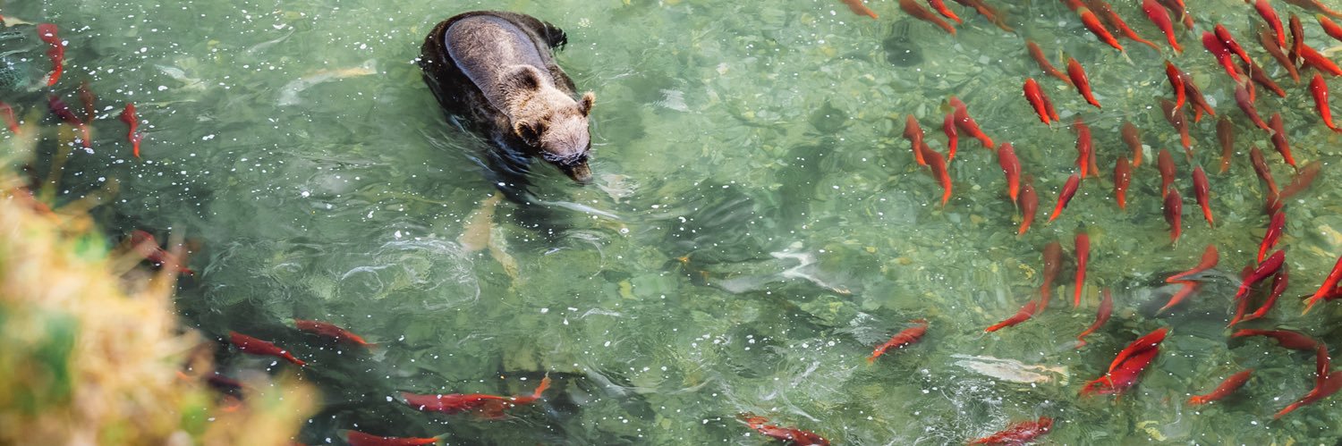 ❣︎leyla❣︎ banner