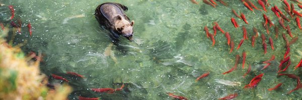 leyism Profile Banner