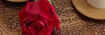 v1_jl_'s profile banner image