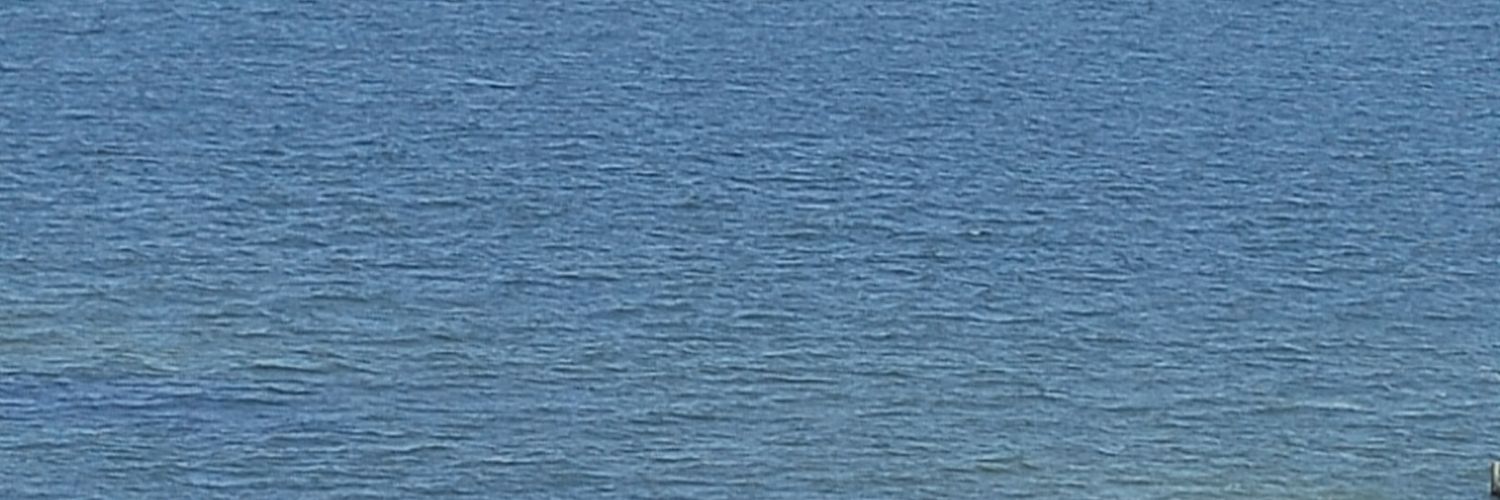bar1_h's profile banner image