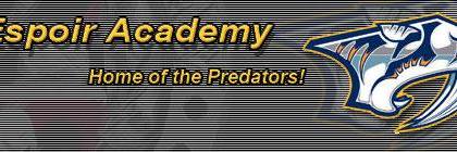 Bay d'Espoir Academy banner
