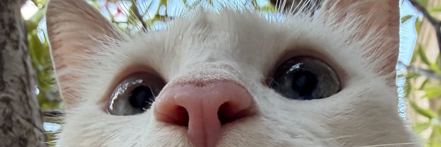 𝑚𝑎𝑟𝑦𝑐𝑟𝑢𝑧 banner