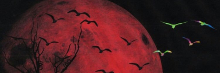 WneManArmy's profile banner image