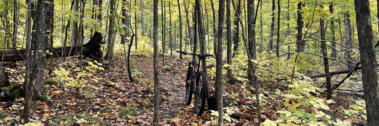 Bergeron Frédéric banner