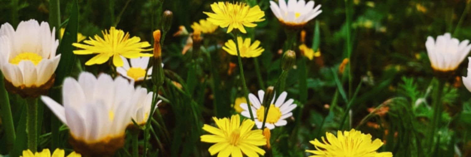 elfbusraerden's profile banner image