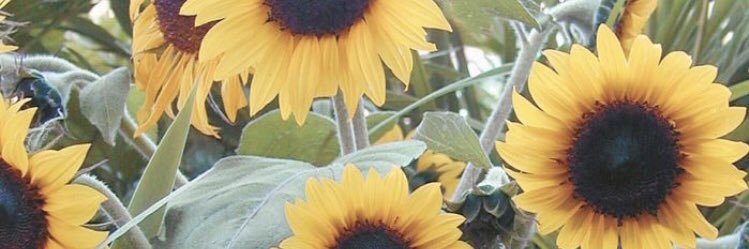 alexkenyeres's profile banner image