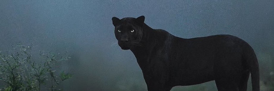 M_Willliams's profile banner image