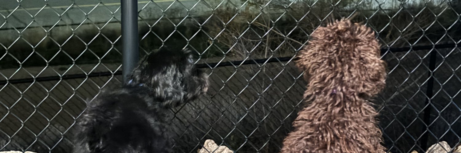 Suspicious_Canuck banner