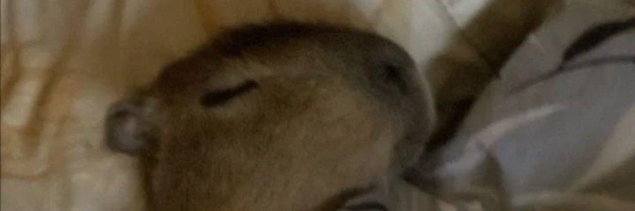 DavidStC_Dabax's profile banner image