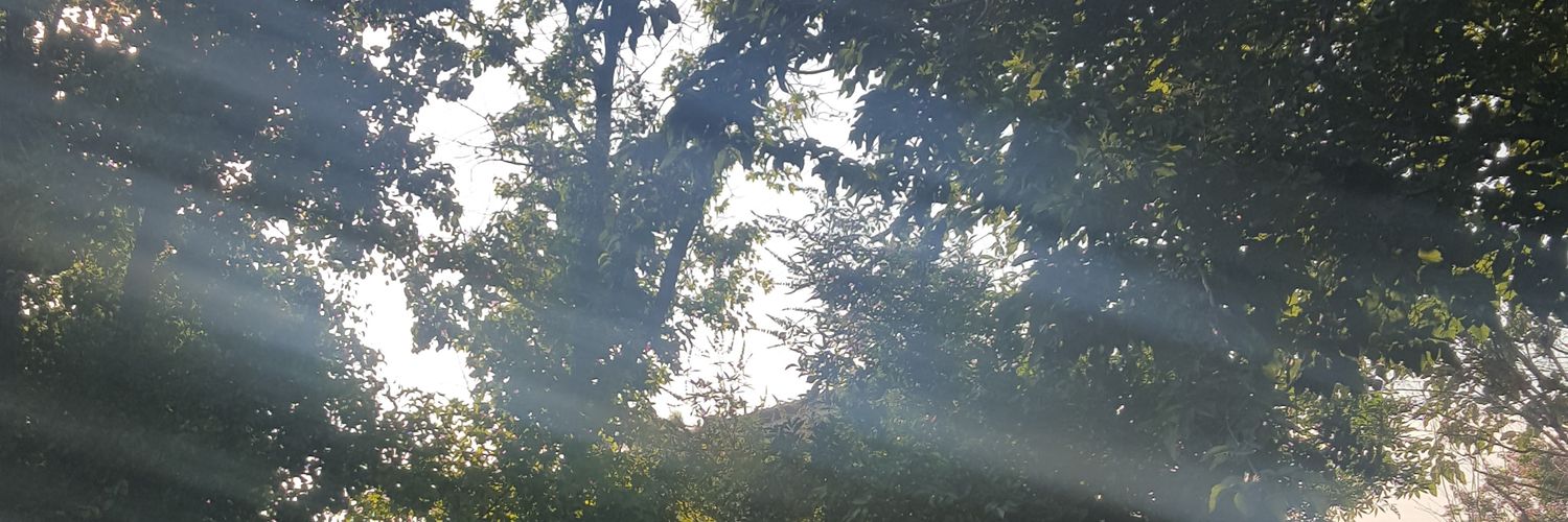 readsalottt's profile banner image