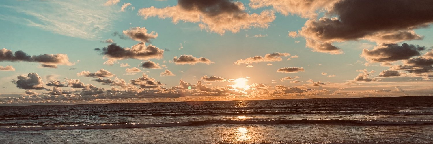 Steve Lessner banner