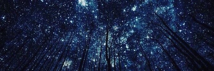 Skoo_9125's profile banner image