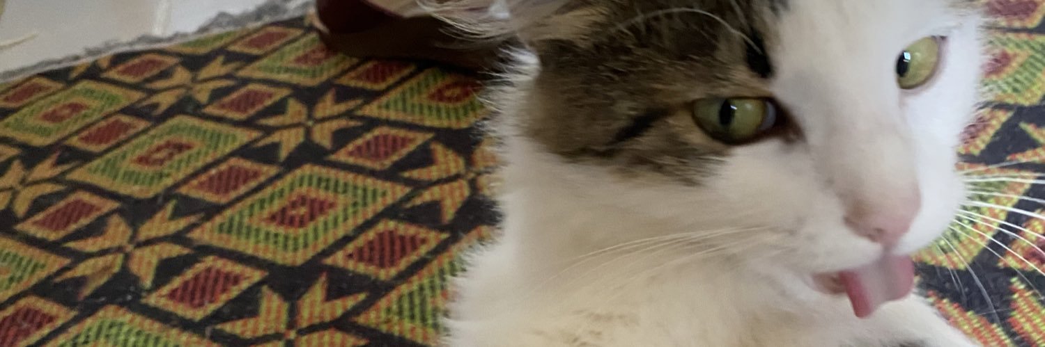 queenncero's profile banner image