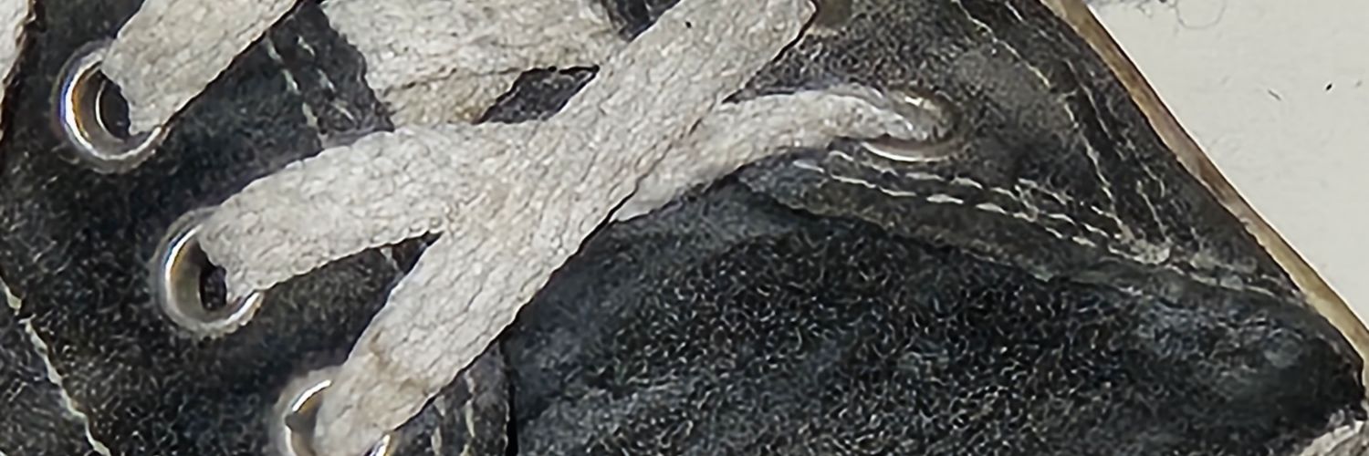 kookchuluv's profile banner image