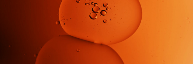 Matteo Giangrande banner