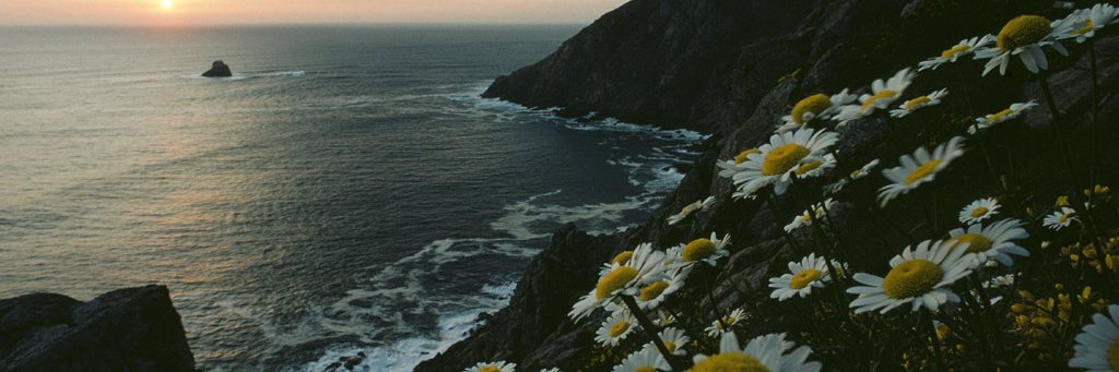 JEBurc's profile banner image