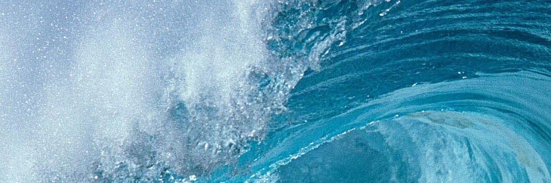charly_des's profile banner image
