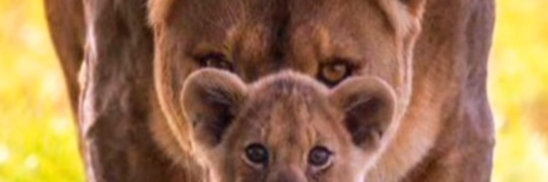 cstrmayy's profile banner image