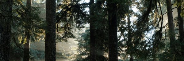 minheredia Profile Banner