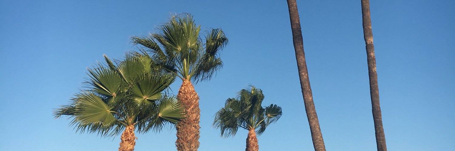 donnabroady72's profile banner image
