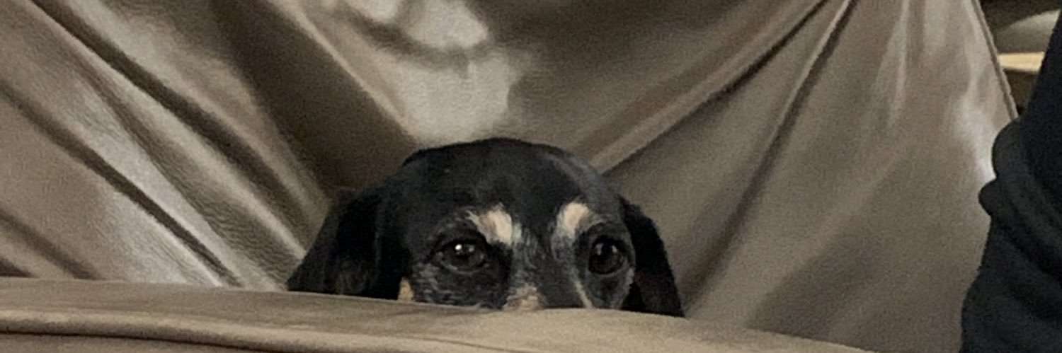 HeringLuke's profile banner image