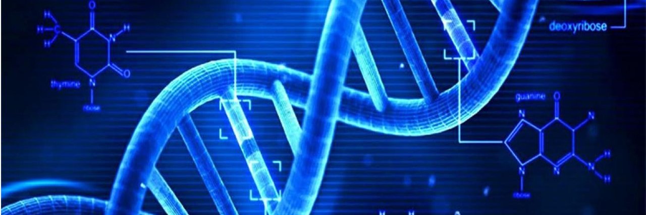 molbio08's profile banner image