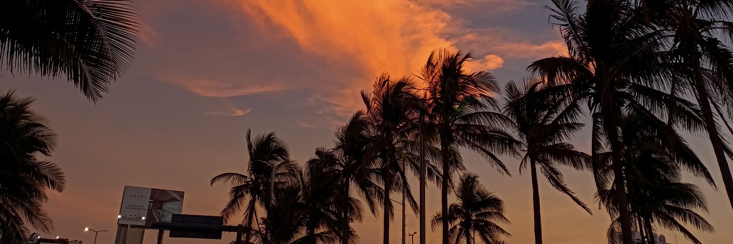 _leonardoag's profile banner image