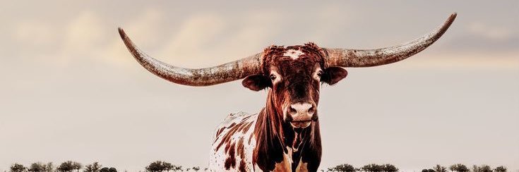 Twedge4's profile banner image