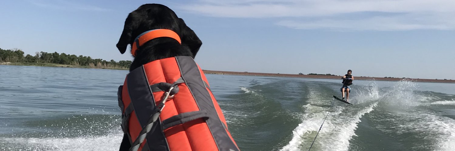 collinfouts's profile banner image