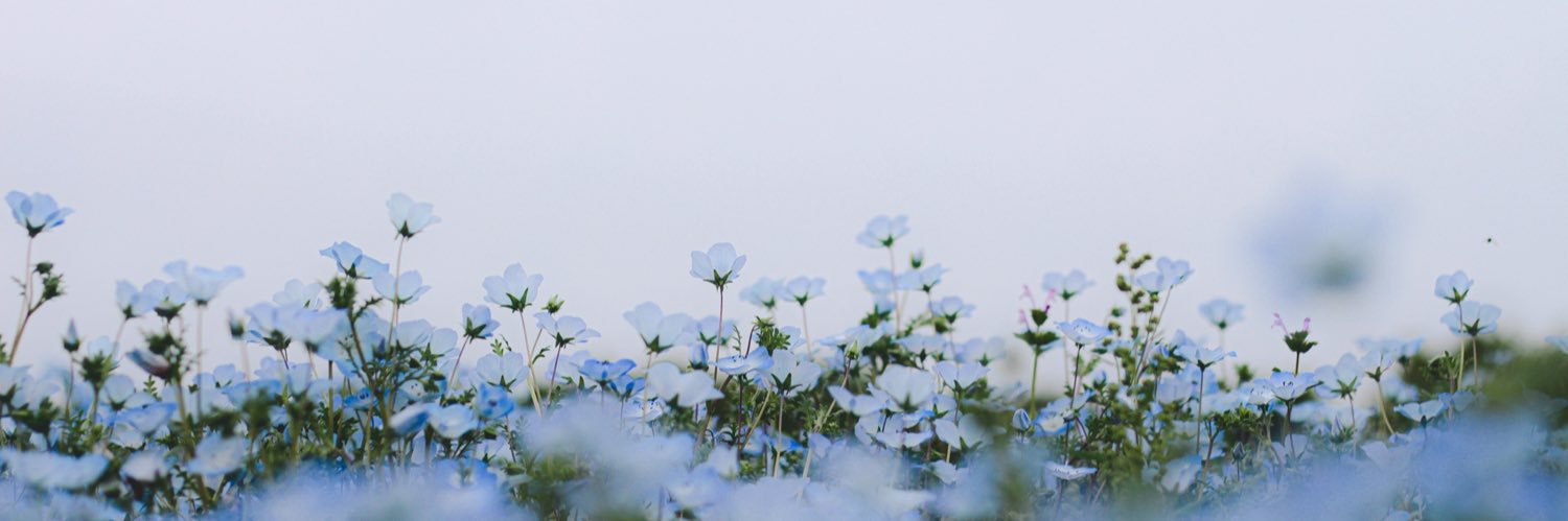 __amooour's profile banner image