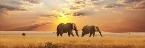 _____Nataly's profile banner image