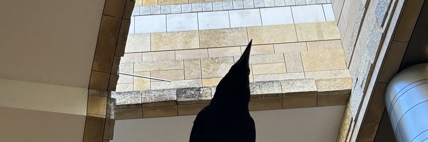 ppnasiro's profile banner image