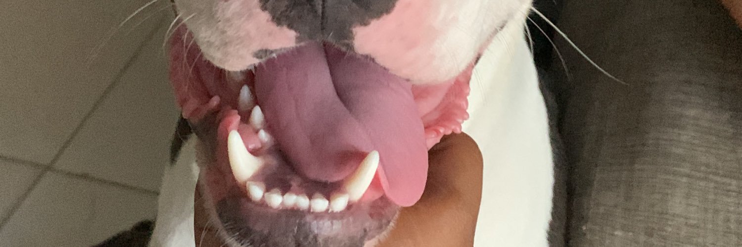 Kellyjalg's profile banner image
