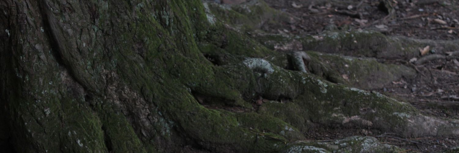 ahmirarshad's profile banner image