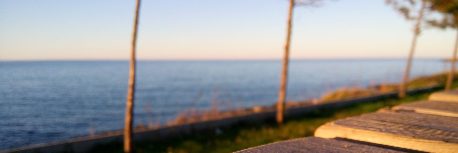 ozkntbk's profile banner image
