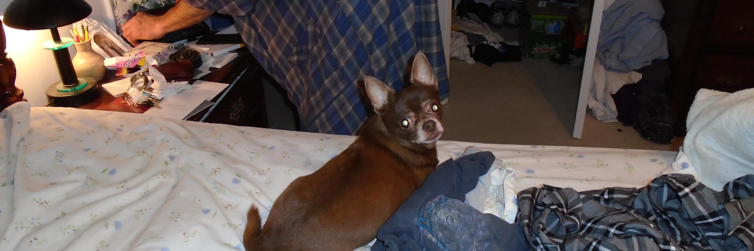 cocos755's profile banner image