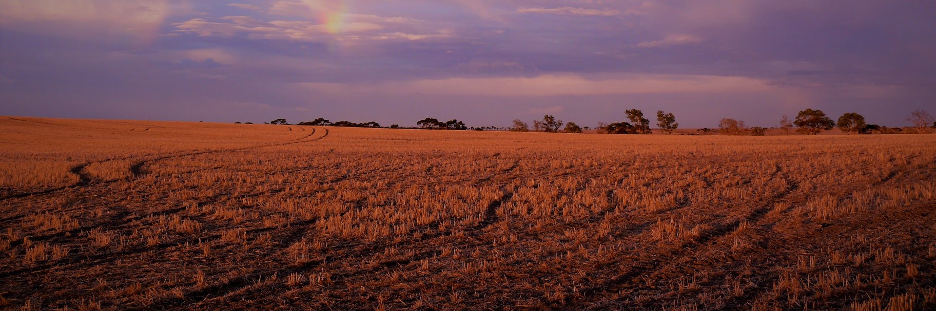 Daniel Murphy banner