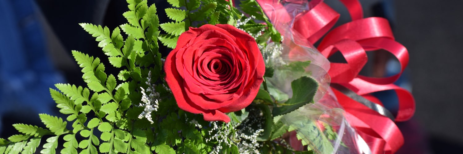 valentinow213's profile banner image