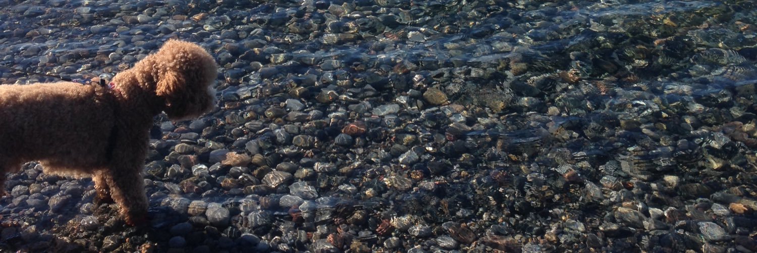 CenaSison's profile banner image