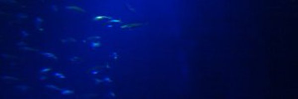 buggymarin Profile Banner