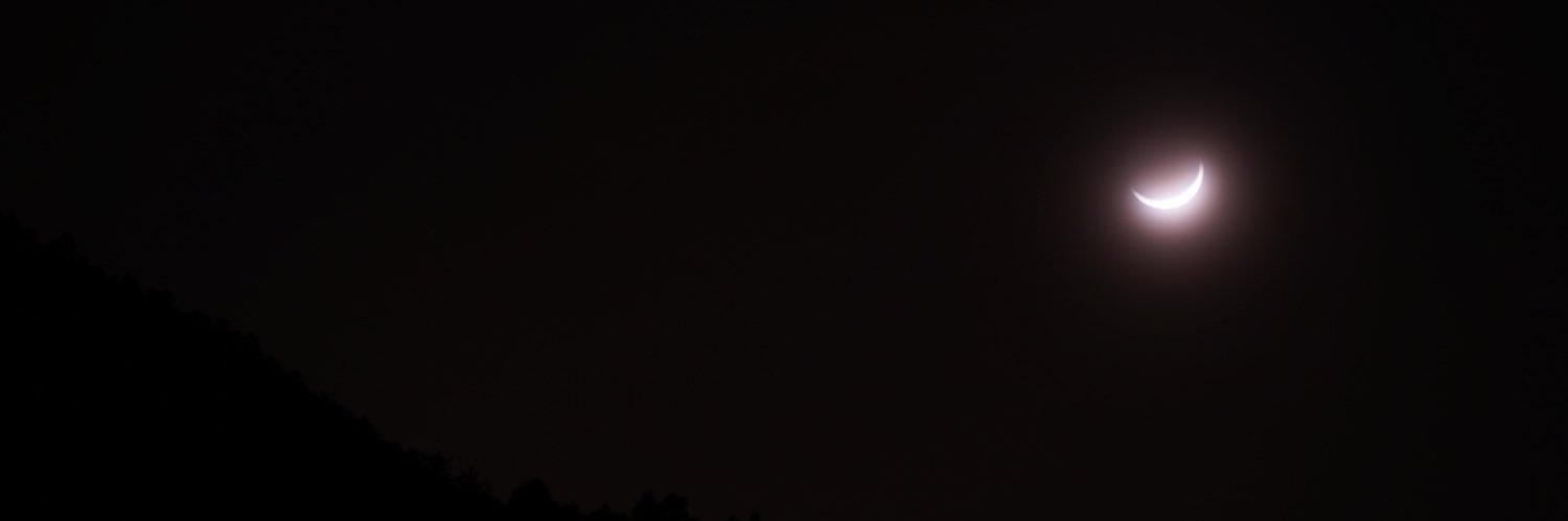 ojimonster's profile banner image