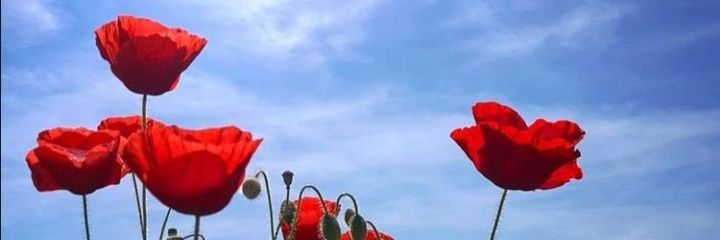 kela18616's profile banner image