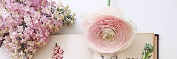 betidys's profile banner image